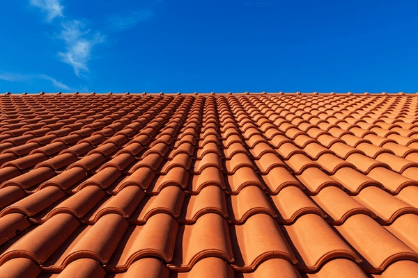 clay-tiles-closeup-tile-roof-600nw-2443611355