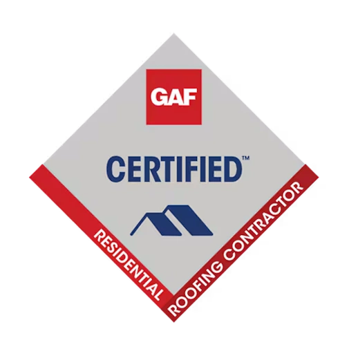 logo1.webp